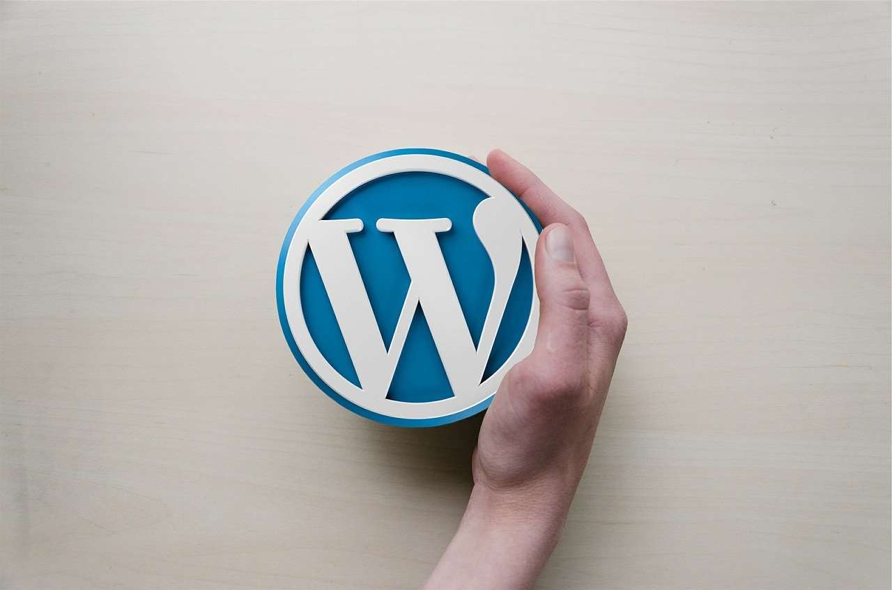 En este momento estás viendo Sobre la actualización del WordPress 5.8.1